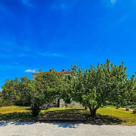 Aenona Sea View Apartment *
